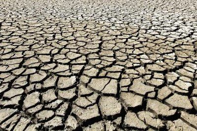 Drought stamp